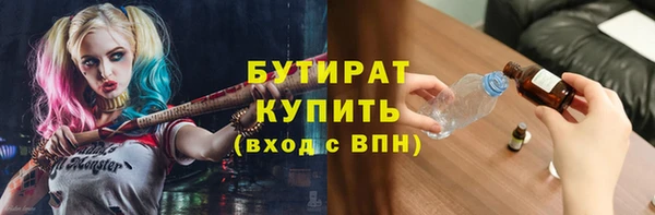 индика Елизово