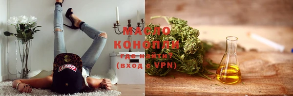 индика Елизово