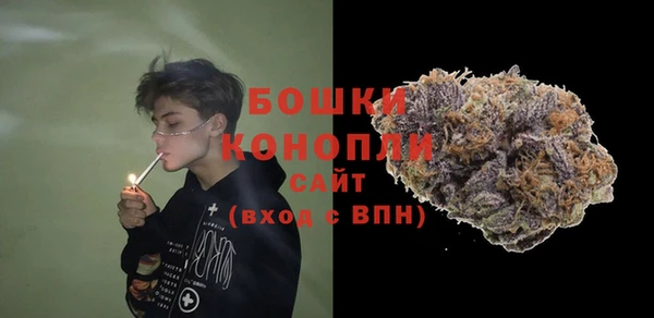 индика Елизово