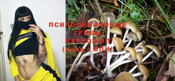 индика Елизово