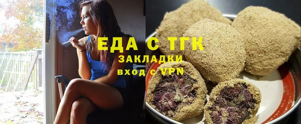 индика Елизово