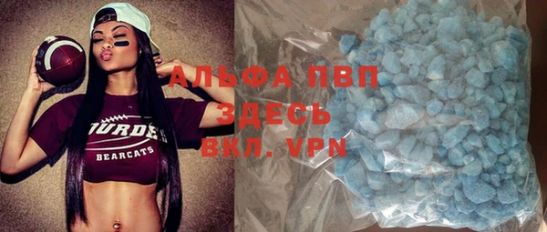 индика Елизово
