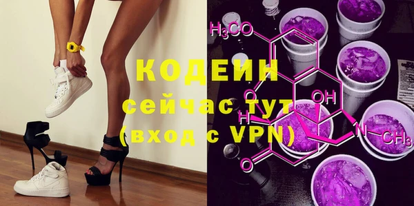 индика Елизово