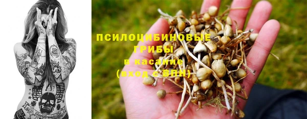 mdma Заводоуковск