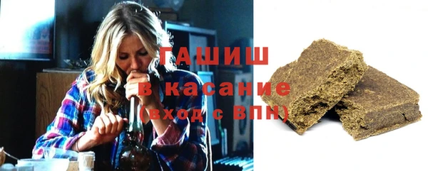 индика Елизово