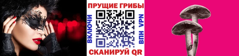 mega ССЫЛКА  Верхняя Тура  Галлюциногенные грибы Psilocybe  закладки 